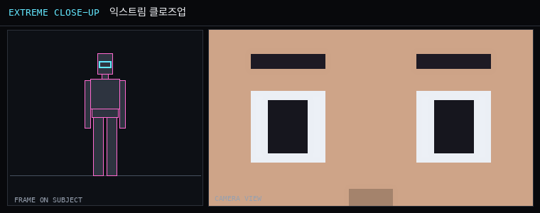 카메라 샷 그림: ecu