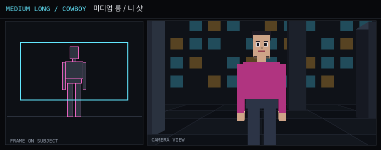 카메라 샷 그림: mls