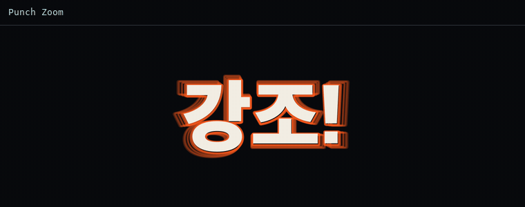 펀치 줌