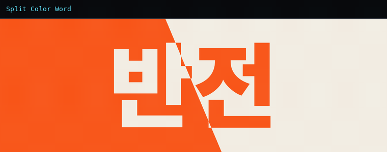 스플릿 컬러