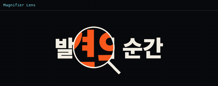 매그니파이어 렌즈 (돋보기)
