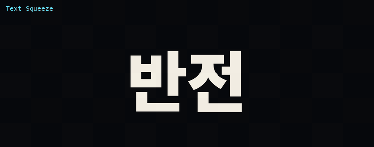 스퀴즈 텍스트