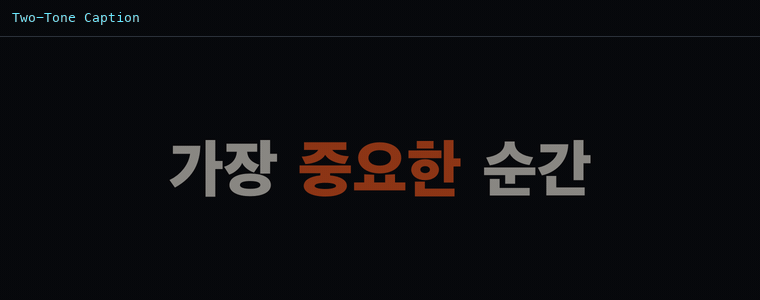 투톤 캡션